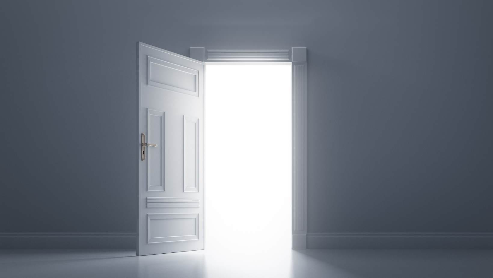 Dyer ne Shitje me shumice 1 Ferko dera e hapur